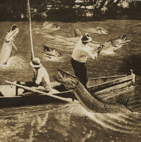 Photomontage of 3 men fishing in a boat among giant fish, picture postcard, inscription: 'Great Sport fishing here., Copyright 1910 by Martin Post Card Co.', inscription: 'FROM THE COLLECTION, OF, FRANK C. PERREAULT', inscription: 'MARTIN, MARTIN, Pub. by, Martin, Ottawa, Kansas', photographer: William H. Martin, United States of America, 1910, North America, paper, gelatin silver print, developing gelatin silver print, height 0 mm x width 0 mm, A sepia-toned photograph shows two people wearing hats and light shirts seated in a wooden rowboat on choppy water, one person holding an oar and the other holding a fishing rod, with several large fish leaping out of the water around the boat and one prominently close to the hull with an open mouth; a rocky shoreline is visible in the background and a gray vertical strip with a series of dark panels runs along the right edge of the image.