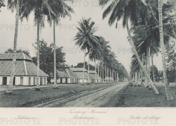 Tandjong-Morawa Coolie Houses, Lane with houses of indentured laborers in Tandjong Morawa on Sumatra, photomechanical print, Part of Album with heliogravures of Sumatra's east coast., number: '20', photographer: Carl J. Kleingrothe, Sumatra, cliché maker: Johann Baptist Obernetter, Munich, in or before 1898, Carl J. Kleingrothe, Johann Baptist Obernetter, photographer, cliché maker, Bavaria, paper, photoaquatint, heliogravure, height 172 mm x width 284 mm, forest path or lane, rural housing, eg country-house, villa, cottage, trees: palm-tree, working class, laborers, indentured laborers, A long dirt road runs through the center of the scene, flanked on both sides by tall slender palm trees with long fronds; rows of simple single-story buildings with thatched roofs and small porches sit to the left of the road, some partially obscured by tree trunks, while more palm trees and foliage occupy the right side and background; the sky appears light and clear, and a small animal is visible on ...