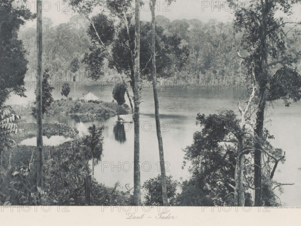 Laut - Tador, View of a river with relaxation at Laut Tador on Sumatra, photomechanical print, Part of Album with heliogravures of Sumatra's east coast., number: '45', photographer: Carl J. Kleingrothe, Sumatra, cliché maker: Johann Baptist Obernetter, Munich, in or before 1898, Carl J. Kleingrothe, Johann Baptist Obernetter, photographer, cliché maker, Bavaria, paper, photoaquatint, heliogravure, height 190 mm x width 285 mm, river, A riverside scene with a calm body of water bordered by dense forest vegetation, tall slender tree trunks rising in the foreground and framing the view, leafy branches and vines visible along the edges, a small thatched hut set close to the water on a grassy bank, an indistinct dark shape on the water that appears elongated, reflections of trees and foliage on the water surface, layered tree-covered hills or forest in the background under a muted sky.