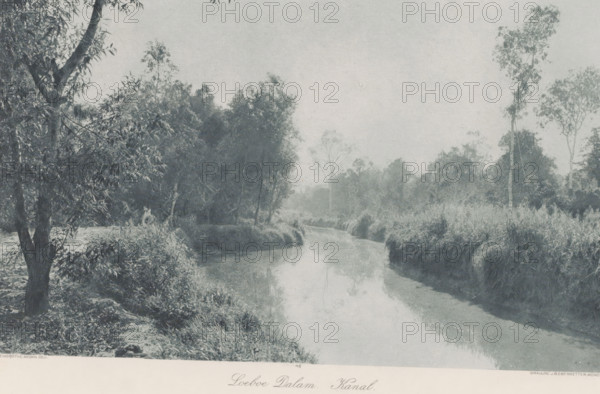 Loeboe Dalam Canal, Drainage canal at Loeboe Dalam on Sumatra, photomechanical print, Part of Album with heliogravures of Sumatra's east coast., number: '46', photographer: Carl J. Kleingrothe, Sumatra, cliché maker: Johann Baptist Obernetter, Munich, in or before 1898, Carl J. Kleingrothe, Johann Baptist Obernetter, photographer, cliché maker, Bavaria, paper, photoaquatint, heliogravure, height 177 mm x width 292 mm, small canal, ditch, A monochrome scene of a narrow winding waterway bordered by grassy, reed-lined banks and dense stands of trees and shrubs, with taller trees rising on both sides and branches and foliage overhanging the left foreground, the water reflecting the sky and nearby vegetation, and the landscape appearing calm and slightly misty.