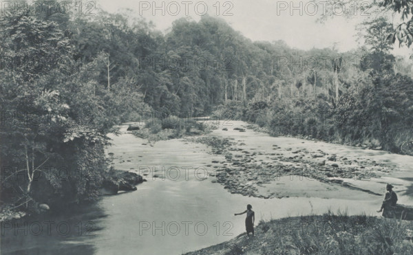 Soengei - Bowaya, Two people on the bank of the Soengei-Bowaya on Sumatra, Two Indonesian people on the bank of the Soengei-Bowaya on Sumatra (former title), photomechanical print, Part of Album with heliogravures of Sumatra's east coast., number: '50', photographer: Carl J. Kleingrothe, Sumatra, cliché maker: Johann Baptist Obernetter, Munich, in or before 1898, Carl J. Kleingrothe, Johann Baptist Obernetter, photographer, cliché maker, Bavaria, paper, photoaquatint, heliogravure, height 183 mm x width 293 mm, river bank, dry river, river bed, A wide river flowing through a densely forested landscape with trees and thick vegetation lining both banks, a rocky shallow area visible in the center of the river with stones and small gravel exposed, a person standing on the near bank with an arm extended over the water and another person seated on the right bank near the water's edge, the far bank dominated by tall trees and undergrowth, the scene rendered in muted monochrome tones.
