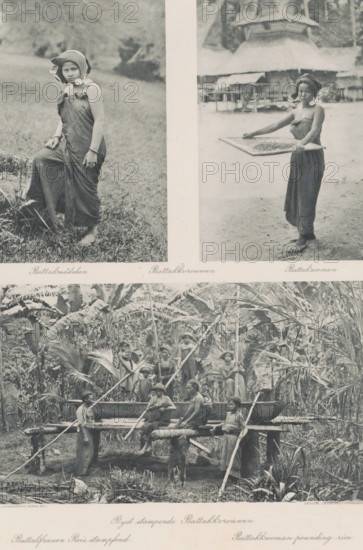 Batakk women (top), Rice pounding Batakk women (bottom), Two portraits of Batak girls (top) and group portrait of rice-pounding Batak women (bottom) on Sumatra, photomechanical print, Part of Album with heliogravures of Sumatra's east coast., number: '51', photographer: Carl J. Kleingrothe, Sumatra, cliché maker: Johann Baptist Obernetter, Munich, in or before 1898, Carl J. Kleingrothe, Johann Baptist Obernetter, photographer, cliché maker, Bavaria, paper, photoaquatint, heliogravure, height 157 mm x width 101 mm, height 157 mm x width 100 mm, height 130 mm x width 220 mm, adult woman, adolescent, young woman, maiden, A vertical composite image divided into three photographic scenes showing people in traditional dress outdoors; the top left shows a young person standing on grassy ground wearing a wrapped garment and a head covering with decorative circular ear ornaments, one foot resting on a rock and hands relaxed by the sides; the top right shows a person standing barefoot on a dirt ...