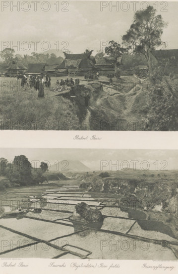 View of the Batak village Rakoet Bessi (above) and landscape with rice fields and volcano (below) on Sumatra, Rakoet Bessi (above), Sawahs (Rice fields) (below), photomechanical print, Part of Album with heliogravures of Sumatra's east coast., number: '58', photographer: Carl J. Kleingrothe, Sumatra, clichémaker: Johann Baptist Obernetter, Munich, in or before 1898, Carl J. Kleingrothe, Johann Baptist Obernetter, photographer, clichémaker, Bavaria, paper, photoaquatint, heliogravure, height 157 mm x width 220 mm, height 134 mm x width 220 mm, prospect of village, silhouette of village, volcano, sawahs, rice paddies, A sepia-toned composite image showing a village scene above and a landscape of terraced paddies below; the upper portion features traditional thatched-roof houses with curved rooflines set behind grassy areas and a dirt path, a group of people standing and sitting near the foreground with some carrying items and a few animals nearby, and trees framing the scene with a large...