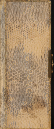 Photo album with 24 portrait photos, photograph album, slip-in album, Photo album with 7 sheets containing a total of 24 cartes-de-visite in passe-partouts framed with embossed decorations. Each album sheet contains two passe-partouts and has gold edges. Pictured are portraits of unknown men, women, and children. The photos were taken by various photographers, including Cornelis Johannes Lodewicus Vermeulen (5), Albert Greiner (4), and Henri de Paauw (3)., collector's mark: 'DIENST, VERSPREIDE, RIJKSKOLLEKTIES, A. 694, A 694', annotation: 'v. Beers Jan '68 f 10-, 24 photos, 72', compiler (person in literature): anonymous, photographer: various makers, 1860 - 1900, compiler (person in literature), paper, leather, pasteboard, biological material, inorganic material, snakeskin, metal, daylight collodion silver print, albumen print, color on edge, gold print, cardboard slip-in album, covered with gray and light brown snakeskin with border printed in gold on the front cover, clamp and clamp...