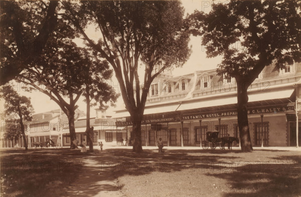 Street view with ice cream shop and Family Hotel in Port of Spain, album page, photograph, This photo is part of an album., inscription: 'Port of Spain', Trinidad (Trinidad and Tobago), 1880 - 1900, photographer, paper, albumen print, height 347 mm x width 297 mm, shop, store, hotel, hostelry, inn, street (city(-scape) with figures, staffage), A sepia photograph of a tree-lined street with large leafy trees in the foreground casting shadows on a grassy verge and a dirt path, a row of two-story buildings with awnings and decorative roof dormers along the street behind the trees, several people standing or walking near the buildings, and a horse-drawn carriage parked at the curb.