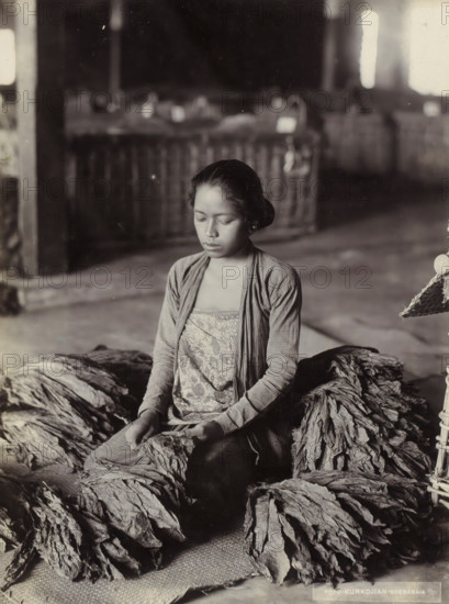 Woman sorting tobacco leaves in the Dutch East Indies, photograph, Part of Travel Album with Forty Photos of the Dutch East Indies., photographer: Onnes Kurkdjian, Dutch East Indies, The, 1912, paper, daylight gelatin silver print, height 235 mm x width 178 mm, tobacco, economic history, tobacco industry, A young woman with closed eyes sits among large bundles of crumpled leaves, wearing a patterned top with a lightweight, long-sleeved outer garment and her hair pulled back, her hands resting on the leaves in her lap; behind her is a blurred interior with wooden structures and stacked crates, and the foreground shows textured matting beneath the leaf bundles.