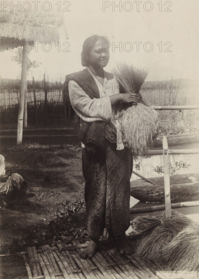 Woman with ears of grain in her hand in the Dutch East Indies, photograph, Part of Travel Album with forty photographs of the Dutch East Indies., photographer: Onnes Kurkdjian, Dutch East Indies, The, 1912, paper, daylight gelatin silver print, height 238 mm x width 175 mm, cereal, grain, corn (grass with grains, grown for food, eg: wheat, rice, rye, oats, maize, buckwheat, millet), child (young man, young woman) leaving his (her) parents, economic history, A person stands barefoot on a woven mat holding a large bundle of long stalks against their chest, wearing a patterned skirt, a light textured blouse, and a darker draped cloth over one shoulder, with short hair and a calm facial expression, while behind them a simple wooden railing, bundles of similar stalks on the ground, a thatched structure, a tree trunk, and a fence are visible against an open outdoor background.
