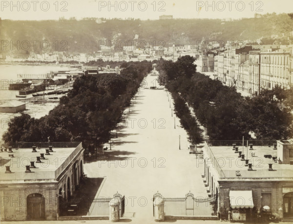 Naples: Royal Garden., View of the Royal Garden in Naples, photograph, Part of a travel album with photos of sights in Naples and the surrounding area., negative number: '4014', c. 1865 - c. 1875, photographer, paper, albumen print, height 198 mm x width 248 mm, public gardens, park (city(-scape) with figures, staffage), A wide elevated view of a broad tree-lined avenue stretching toward a distant promenade, flanked on both sides by rows of dense trees and lined with lamp posts, with a central circular fountain visible along the avenue and a large gated entrance in the foreground; to the left a waterfront area with piers, small boats, and wooden structures extends into the water, while to the right a long row of multi-story classical buildings with uniform façades borders the avenue; rooftops with chimneys and terraces appear in the foreground, and a hillside with scattered buildings and vegetation rises in the background.