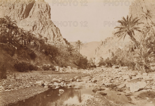 River bed with rocks and palms, El Kantara. - les Gorges, album page, photograph, This photo is part of an album., number: '380', photographer: Étienne Neurdein, c. 1880 - c. 1900, paper, albumen print, albumendruk, height 204 mm x width 269 mm, trees: palm-tree, dry river, river bed, ravine, chasm, abyss, canyon - HH - ideal landscapes, A sepia-toned landscape showing a rocky dry riverbed with scattered stones and shallow pools of water reflecting nearby shapes, flanked by dense clusters of tall, feathery palm trees and other vegetation; steep, craggy cliffs rise on both sides, with a narrower valley visible in the distance and a wide expanse of pale sky above.