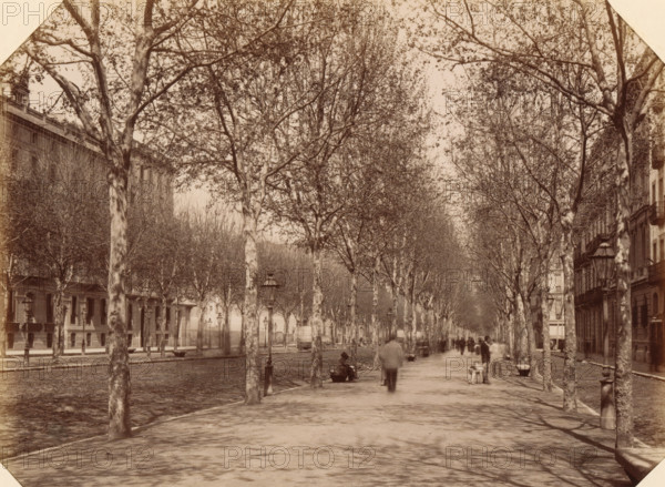 Barcelona. Calle Cortes (Gran-via), View of Gran Via in Barcelona, album page, photograph, This photo is part of an album., annotation: 'Barcelona - Calle Cortes', number: '11', photographer: JE Puig, Barcelona (city), c. 1885 - in or before 1892-04-09, Catalonia, paper, albumen print, height 163 mm x width 210 mm, street, A wide tree-lined promenade with tall trunks and branches forming a canopy over a central walkway, flanked by buildings on both sides; vintage-style street lamps are spaced along the path, with benches near some trees; several blurred figures walk or stand along the promenade, and a person sits on a bench; a dog stands near one of the figures; the scene has a sepia tone and soft shadows from the trees.