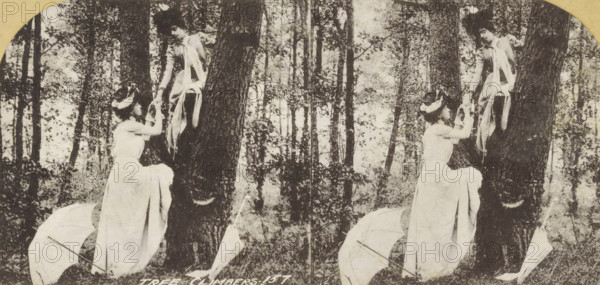 Tree Climbers, Scene with two people climbing a tree, photomechanical print, stereograph, number: '157', retailer's mark: 'JK', cliché maker: anonymous, publisher: LS and Co., London, 1870 - 1890, LS and Co., photographer, cliché maker, publisher, paper, pasteboard, collotype, photoprint, height 89 mm x width 179 mm, adult woman, adult man, trees, A sepia-toned stereo photograph of two women in a wooded area, shown twice side-by-side. One woman is seated on the ground near a tree base wearing a long light-colored dress and a headpiece, reaching up with both hands. The other woman is positioned higher on the tree trunk, dressed in a light blouse and skirt with a sash, leaning slightly forward and grasping the hands of the seated woman. Two open parasols lie on the ground near the seated woman. Tall trees and foliage fill the background.