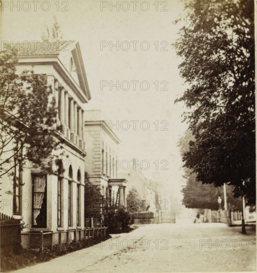 St. Jansstraat, Haarlem, View of St. Jansstraat in Haarlem, stereograph, 1857 - 1863, photographer, pasteboard, paper, albumen print, height 87 mm x width 175 mm, street, A sepia-toned street scene shows a row of classical buildings on the left with tall columns, arched windows, and decorative cornices, partially obscured by leafy trees and shrubs; a low fence runs along the sidewalk in front of the buildings. The street extends into the distance toward a faint silhouette of another building, flanked by large trees with dense foliage on the right. The overall image has a soft, aged appearance with light sky above and a quiet, empty roadway in the foreground.