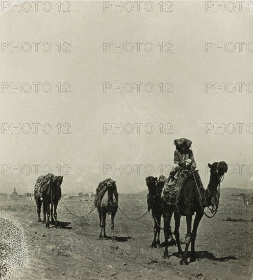 Caravan in the desert near Cairo, Cairo. Karawane in der Wüste, stereograph, number: '92', Cairo (city), publisher: Neue Photographische Gesellschaft, Steglitz, 1909 - 1935, photographer, Ottoman Empire, North Africa, paper, baryta paper, gelatin silver print, developing gelatin silver print, height 87 mm x width 180 mm, hoofed animals: dromedary, A sepia-toned photograph showing a line of camels walking across a barren plain, each camel tethered to the next and bearing heavy, textured packs and ropes; a rider wearing layered clothing and a head covering sits atop the leading camel, holding a long stick, while distant low buildings and a faint tower appear near the horizon under a large, mostly empty sky.