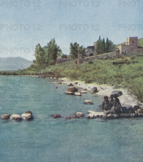 View of the former Bethsaida on the Sea of Tiberias, Bethsaida, Series 27 Palästina 1 No. 175-180, photomechanical print, stereograph, inscription: 'Viele vermuten an dieser Stelle am nördlichen, Ufer des Sees Genezareth die Stätte, ', inscription: 'Chromoplast-Bild', number: 'No. 180', inscription: 'Warenzeichen, No. 142 123', inscription: 'DRGM, No. 437 756', title: 'Bethsaida.', Betsaida, cliché maker: Farbenphotographischen Gesellschaft, Stuttgart, 1911 - 1919, photographer, Baden-Württemberg, Tiberias, paper, three-color autotype, height 90 mm x width 180 mm, lake, landscape with ruins, A shoreline scene showing a calm body of blue-green water in the foreground with scattered rounded rocks near the shore, a narrow pebbled beach, a grassy slope rising to a tree-lined ridge, several tall dark green trees and shrubs, and a small cluster of stone buildings with rectangular shapes and pitched roofs partially visible behind the trees under a pale blue sky.