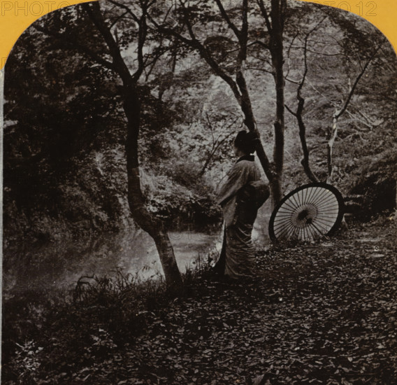 Woman with parasol in forest setting, Japan, stereograph, 1890 - 1910, photographer, paper, pasteboard, baryta paper, daylight gelatin silver print, height 88 mm x width 174 mm, adult woman, forest, wood, A sepia-toned scene of a person standing near trees beside a body of water, the person seen in profile wearing traditional clothing and holding a closed umbrella, a large open parasol with visible radial ribs rests nearby, tree trunks and branches fill the upper portion of the image with scattered leaves on the ground and reflections in the water, and rounded darker foliage and undergrowth frame the scene.