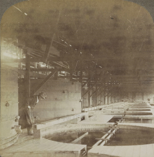 Precipitating Vats at the Robinson mine, Johannesburg, Precipitating Vats - extracting Gold from the ore, Robinson Mine, SA, the World's richest Gold District, stereograph, title: 'Precipitating Vats - extracting Gold from the ore, SA -, the World's richest Gold District', number: '38', inscription: 'SUN SCULPTURE, UU, TRADEMARK, Works and Studios, Arlington, NJ Westwood, NJ Washington, DC', copyright notice: 'Copyright 1901 by Underwood & Underwood.', publisher: Underwood and Underwood, New York (city) (possibly), 1901, photographer, North America, pasteboard, paper, albumen print, albumendruk, height 88mm x width 178mm, mining, A sepia-toned interior scene showing a large wooden structure with rows of curved troughs and supporting beams, a long narrow walkway running alongside the troughs, overhead rafters and crossbeams creating a repeating pattern, visible hardware and pipes along the walls, and a person wearing a hat and work clothes leaning against a vertical support near the for...