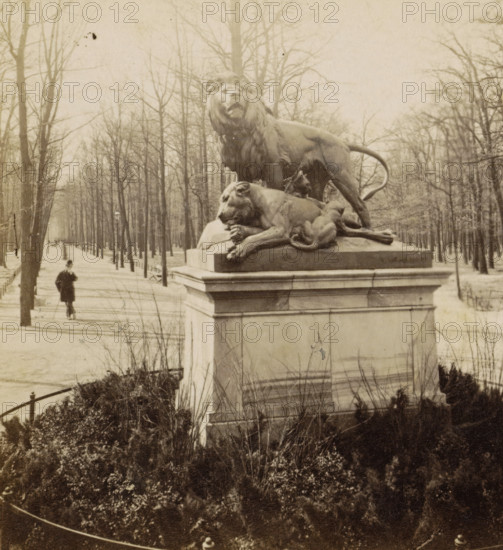 Group of lions in Tiergarten, Statue with a group of lions in Tiergarten, Berlin, stereograph, inscription: '30f', number: '216.', after sculpture by anonymous, 1873 - 1890, photographer, after sculpture by, pasteboard, paper, albumen print, height 87 mm x width 176 mm, monument, statue, public gardens, park, Tiergarten, A stone pedestal topped by a sculptural group of large lions occupies the foreground, with one lion standing and another reclining beside it on a raised platform; leafless trees line a wide paved promenade that extends into the background, where a man wearing a dark overcoat and hat walks along the path; lamp posts and low fences run alongside the walkway, and shrubs and bare plants fill the area around the pedestal.