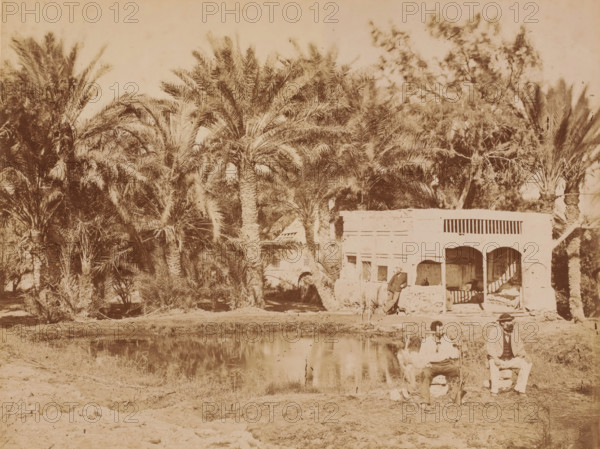 Three men, sitting and standing by a pond surrounded by palm trees, photograph, number: 'No 72', inscription: 'BFK Rives', 1851 - 1900, photographer, pasteboard, paper, albumen print, height 348 mm x width 454 mm, adult man, trees: palm-tree, pond, pool, A sepia-toned scene showing dense clusters of tall palm trees and other foliage occupying the left and center background, with a single-story building with an open veranda and arched openings at the right center partially obscured by vegetation, a person leaning against the building near the veranda, and two seated people in the foreground near the edge of a reflective body of water.