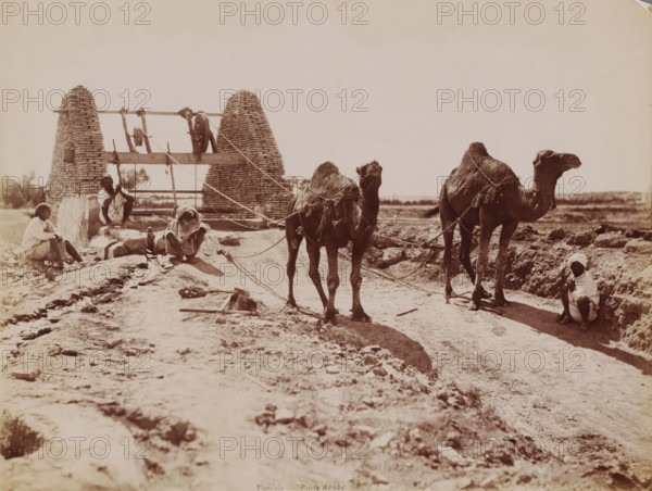 Dromedaries hauling water from a well in Tunisia, Tunisie, puits Arabe, photograph, number: '520', photographer: Neurdein Frères, Tunisia, 1863 - 1900, North Africa, paper, albumen print, height 208 mm x width 273 mm, hoofed animals: dromedary, well, A sunlit outdoor scene showing two camels standing on a dirt path with ropes and simple harnessing, flanked by a few seated people wearing loose garments and head coverings, one person sitting near the camels and others near a low stone structure; behind them are two tall conical brick or stone towers connected by a horizontal wooden beam and simple frame with hanging items, while the foreground shows a rough, uneven ground strewn with small stones and tools.