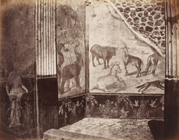 Fresco with different animals in a building in Pompeii, Italy, photograph, number: '11', inscription: 'Paroi Pompei', number: '72.', Pompeii, after painting by anonymous, 1851 - 1900, photographer, pasteboard, paper, albumen print, height 306 mm x width 406 mm, picture, painting, wall-covering, A sepia-toned wall scene showing a corner with painted panels and decorative columns; one panel depicts several animals including a reclining horse, a bull, and other horned creatures on a pale background, while adjacent panels show another animal and tall plant motifs; fluted vertical columns frame the panels and a textured stone surface appears at the upper right; the lower portion features painted foliage and small birds, and a carved or sculpted standing figure holding a basin is visible at the left edge.
