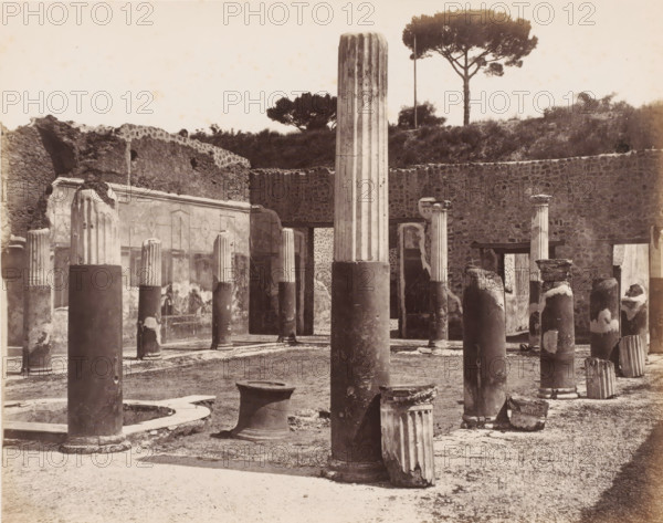 Maison Citariste, View of the ruins of Maison Citariste in Pompeii, Italy, photograph, number: '21', number: 'No. 4248', number: '11', number: '58', photographer: attributed to Giorgio Sommer, Pompeii, 1857 - 1875, Attributed to, pasteboard, paper, albumen print, albumendruk, height 307 mm x width 404 mm, ruin of a dwelling, house, castle, excavation, archaeology, A sepia photograph of an outdoor archaeological site showing numerous stone columns in various states of preservation standing on a dirt and gravel ground, some full-height fluted columns with plain cylindrical bases and others broken stumps or toppled drum fragments scattered around, with a low rectangular stone basin and a round short pedestal among them; behind the columns a stone wall with a rough texture and a partially preserved decorated façade with geometric panels and recessed niches rises to a grassy embankment topped by two umbrella-shaped trees and low scrub, and small rectangular openings and doorways are visible...