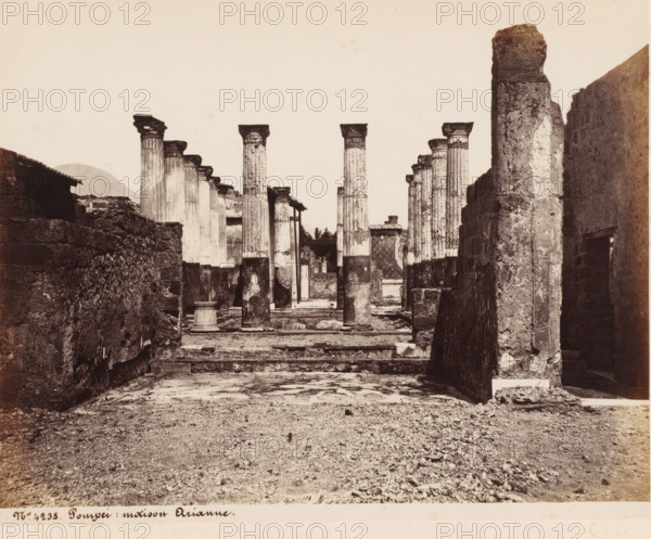 Remains of Ariadne's house in Pompeii, Italy, Maison Arianne, Pompei, photograph, number: '59', number: '11', number: 'No 4238', photographer: attributed to Giorgio Sommer, Pompeii, 1857 - 1875, Giorgio Sommer, photographer, Attributed to, pasteboard, paper, albumen print, height 306 mm x width 403 mm, ruin of a dwelling, house, castle, A wide, sepia-toned view of an ancient ruin featuring rows of tall, fluted stone columns with carved capitals extending into the distance, flanked by rough stone walls on both sides, with fragments of broken columns and rubble scattered on the ground and a flat, worn stone pathway leading toward the columns; the sky above is pale and empty and a rounded hill is visible behind the left-side ruins.