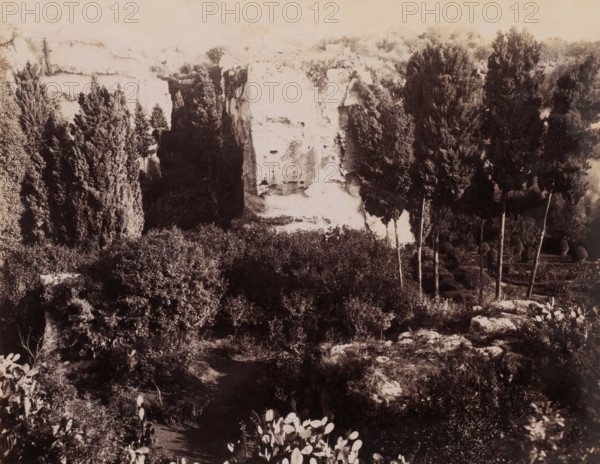 Latomie Casale, View of the Latomie Casale in Syracuse, Sicily, Siracusa, photograph, number: '8701', number: '2655', photographer: Giorgio Sommer, Syracuse (city), 1857 - 1914, pasteboard, paper, albumen print, height 200 mm x width 252 mm, quarry, A sepia-toned landscape photograph showing a rocky cliff face framed by tall, narrow evergreen trees and dense scrubby vegetation in the foreground, with several slender tree trunks rising from the midground and rounded bushy shapes dotting the scene, scattered rocks and low plants across the ground, and a bright pale vertical rock formation contrasted against darker shaded foliage.