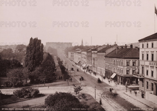 Carl Johans Gade i Christiania, View of the Karl Johans gate in Oslo, photomechanical print, copyright notice: 'ENERET 1891.', number: 'No 138.', Oslo, publisher: F. Beyer, Bergen, cliché maker: anonymous, 1891, photographer, paper, collotype, photoprint, height 151 mm x width 212 mm, street, Christiania, A wide sepia-toned street scene with a tree-lined promenade on the left and a row of multi-story buildings with awnings and shopfronts on the right, a paved road running between them with visible tram rails and blurred figures and vehicles in motion, lamp posts along the roadway, dense clusters of trees and shrubs in the foreground and midground, a large classical building set back among trees in the distance, a tall church spire rising behind the treeline, and a flagpole with a flag at the far right atop one of the corner buildings.
