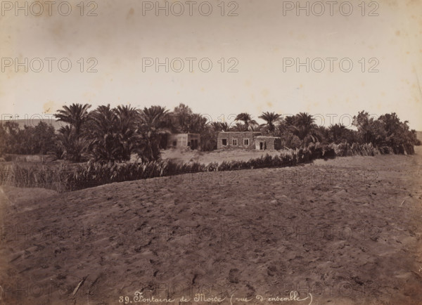 View of the Moses Fountain near Suez, Fontaine de Moïse (vue d'ensemble), photograph, number: '39.', Suez, 1860 - 1900, photographer, North Africa, paper, albumen print, height 202 mm x width 280 mm, well, Moses Fountain, A sepia-toned landscape showing a foreground of textured sandy ground leading to a narrow strip of taller vegetation and a cluster of dense palm trees, behind which low stone buildings with rectangular openings are partially visible, all beneath a wide pale sky with faint discoloration.