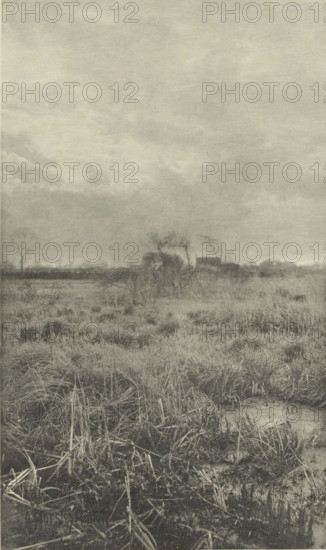 Gladden and Bent', Heathland landscape, photomechanical print, photographer: Alfred Horsley Hinton, cliché maker: Fillon & Heuse, printer (person): Charles Wittmann, Paris, c. 1891 - in or before 1896, Alfred Horsley Hinton, Fillon & Heuse, Charles Wittmann, photographer, cliché maker, printer (person), paper, photoaquatint, height 209 mm x width 124 mm, plain, A monochrome scene showing a flat marshy landscape with tall grasses and reeds in the foreground, their stems and tufts tangled and bending. Further back the vegetation becomes sparser, with low mounds and patches of wet ground visible. Near the middle distance a stand of bare or sparsely leaved trees and shrubs rises above the marsh, and behind them a small building with a sloped roof is partly obscured. The sky occupies a large portion of the image, with layered, diffuse clouds creating a soft, overcast appearance.