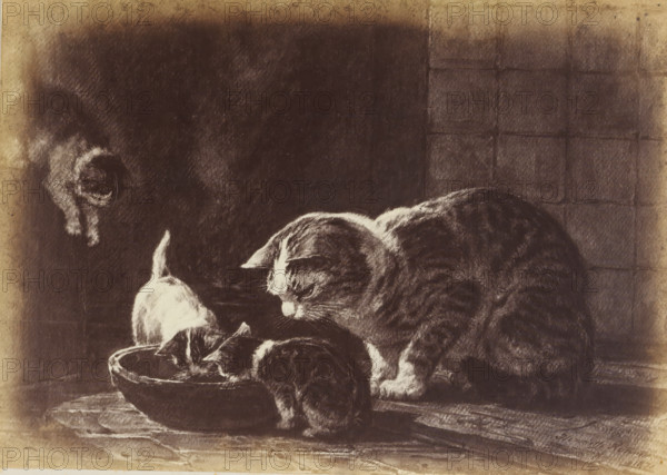 Photo reproduction of the painting 'After the meal' by Henriëtte Ronner, photograph, reproduction, page, photographer: Binger & Chits, after painting by Henriëtte Ronner, c. 1866 - in or before 1871, paper, albumen print, albumendruk, height 132 mm x width 185 mm, cat, A dark-toned illustrative scene shows a large striped cat leaning over a shallow round dish where a smaller cat with light fur drinks, while another small cat lies curled inside the dish; the larger cat's face is angled toward the smaller cats and its fur is rendered with visible strokes. The background is mostly dark with a faint grid pattern suggesting tiles, and the image has a worn, sepia-like border with areas of lighter and darker shading.