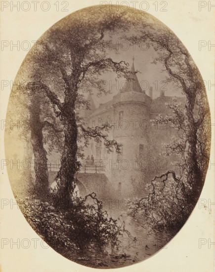 Photo reproduction of the painting 'The Castle' by Johannes Hilverdink, photograph, reproduction, page, photographer: Binger & Chits, after painting by Johannes Hilverdink, c. 1866 - in or before 1871, paper, albumen print, height 182 mm x width 143 mm, castle, An oval sepia-toned drawing showing a large stone building with a rounded turret and steep conical roof partially obscured by tall, gnarled trees with dense, lacy foliage; a bridge with a railing spans across a body of water in front of the building, and reflections and ripples are visible in the water below; the scene is framed by twisting branches and textured undergrowth that curve inward toward the center of the composition.