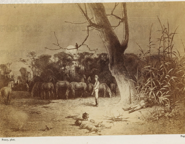 Photo reproduction of a drawing of a camp in the Australian outback, Jack devait dormir le premier, tandis que je monterais la garde..., photograph, reproduction, page, inscription: 'Page 26.', photographer: François Poncy, after drawing by Gabriel Liquier, c. 1863 - in or before 1868, paper, albumen print, height 118 mm x width 169 mm, Photo on unnumbered page after page 26., camp-fire, watch-fire, sleeping on the ground - BB - out of doors, Australia, A sepia-toned scene shows a large tree trunk in the foreground with tall grasses beside it and a branch extending outward where a small bird perches; behind the tree a group of grazing horses stand near a line of dense trees and bushes beneath a pale circular shape low on the horizon; a standing figure in light clothing and a hat holds a staff near the horses while a person reclines against the base of the grasses to the right; in the foreground on the ground there are scattered small objects, a pot, and two animals lying on the ground.