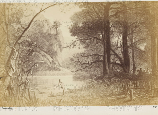 Il laissa éhapper de ses lèvres ce seul mot: 'Bugnia!'..., Photo reproduction of a drawing of a river in Australia, photograph, reproduction, page, inscription: 'Page 168.', photographer: François Poncy, after drawing by Louis-Étienne Duval, c. 1863 - in or before 1868, paper, albumen print, height 117 mm x width 183 mm, Photo on unnumbered page after page 168., river, Australia, A sepia-toned landscape drawing showing a river or lake surrounded by dense vegetation and tall trees, with a lone wading bird standing at the water’s edge in the foreground. On the left, tangled roots, vines, and leafy branches frame the scene, while rock formations and distant foliage rise behind the water. Large tree trunks and a canopy of leaves occupy the right side, with low grasses and marsh plants along the shore. A small figure on horseback is partly visible tucked among the trees on the far right, and a simple wooden fence and scattered branches lie near the lower right foreground.