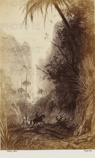 Photo reproduction of a drawing of horsemen in a valley in Australia, Les derniers rayons du soleil couchant, pénétrant dans cette étroite vallée, doraient les rocs élevés..., photograph, reproduction, page, inscription: 'Page 238.', photographer: François Poncy, after drawing by Louis-Étienne Duval, c. 1863 - in or before 1868, paper, albumen print, height 175 mm x width 111 mm, Photo on unnumbered page after page 238., riding a horse, ass, or mule, rider, horseman, dusk, evening twilight, dale, valley, A monochrome landscape drawing showing a deep valley framed by steep, textured cliffs and dense foliage, with tall, thin trees and drooping fronds at the top and a variety of bushy plants along the slopes; a narrow waterfall descends from the distant heights into the misty basin, and several birds are visible in the sky above; in the foreground a small group of riders on horses traverse a rocky path, one rider upright on a dark horse while others and their mounts follow nearby, and det...