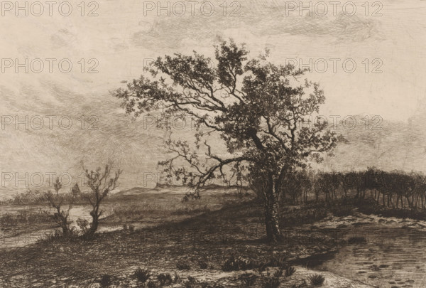 Landscape in the Kempen, print, printmaker: Jerôme Tuyttens (signed by artist), c. 1850 - 1883, paper, chine collé, etching, drypoint, intaglio printmaking technique, height 232 mm x width 316 mm, A monochrome landscape etching showing a foreground with textured ground, low grasses, and a winding waterway, a large, leafy tree with a textured trunk and spreading branches positioned centrally and slightly to the right, smaller bare and sparsely foliaged trees nearer the left foreground, a distant line of darker trees forming a horizontal band across the midground, and a wide sky above filled with soft, hatched cloud formations.