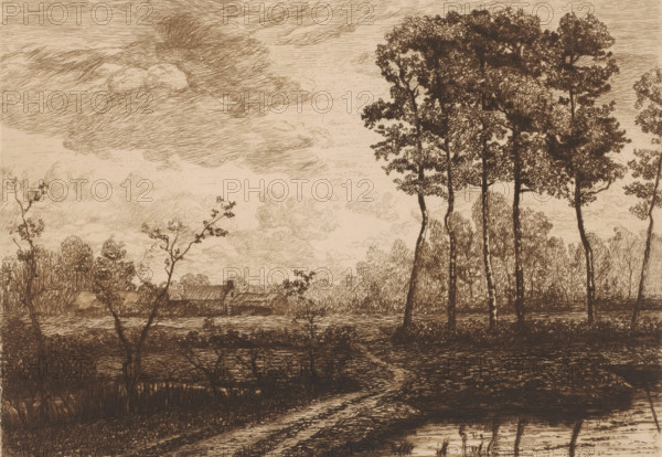 Landscape with row of birches, print, printmaker: Jerôme Tuyttens (signed by artist), c. 1850 - 1883, paper, chine collé, etching, drypoint, retroussage, intaglio printmaking technique, height 203 mm x width 283 mm, A sepia-toned sketch of a landscape showing tall, slender trees with detailed foliage on the right and a row of lower vegetation extending toward the center, a winding dirt path running from the foreground toward the middle ground, a calm pond or wet area reflecting dark lines near the bottom edge, a cluster of low-roofed buildings partially obscured by trees in the distance, and a sky filled with layered, swirling clouds rendered in fine, linear strokes.