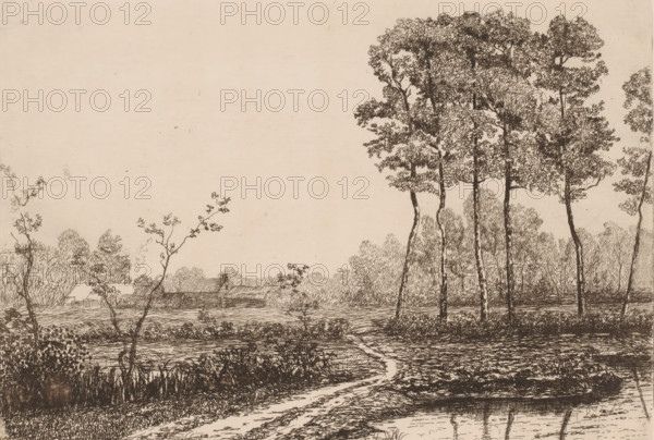 Landscape with row of birches, print, printmaker: Jerôme Tuyttens (signed by artist), c. 1850 - 1883, paper, etching, drypoint, intaglio printmaking technique, height 201 mm x width 284 mm, A wide landscape drawing showing a foreground dirt path leading toward a field with low vegetation and a shallow body of water reflecting nearby trees, thin tall trees with textured foliage clustered to the right, a group of smaller trees and bushes in the middle ground, a low building with a sloped roof partially visible among the trees toward the left, and a mostly empty sky filling the upper portion.