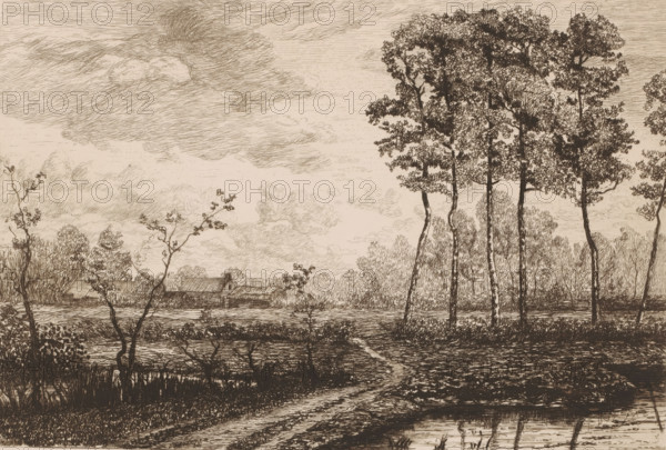 Landscape with row of birches, print, printmaker: Jerôme Tuyttens (signed by artist), c. 1850 - 1883, paper, etching, drypoint, retroussage, intaglio printmaking technique, height 201 mm x width 285 mm, A sepia-toned pen drawing shows a flat landscape with a foreground of marshy ground and a narrow winding path leading toward the middle distance, reflected water at the bottom edge, and low vegetation along the water's edge. Thin, leafed trees with tall trunks rise on the right side, their foliage rendered with dense, intricate lines, while smaller, sparse saplings and bushes appear on the left and center foreground. In the middle distance a cluster of low buildings with slanted roofs sits near the tree line, partially obscured by shrubs and distant foliage. The background is filled with layered, textured clouds and a broad sky sketched with fine, horizontal strokes. The scene is composed entirely in fine linework with varied hatching to indicate shadow, texture, and depth.