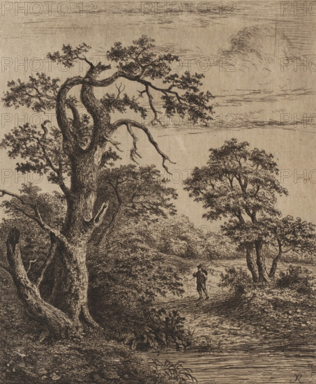 Landscape with walker near water, print, printmaker: Jean Théodore Joseph Linnig, after drawing by Jacob Salomonsz. van Ruysdael, 1879, paper, etching, roulette, intaglio printmaking technique, etching and roulette with plate tone, height 248 mm x width 201 mm, landscapes in the temperate zone, A detailed monochrome ink landscape showing large, gnarled trees with textured bark and dense foliage in the foreground and middle ground, twisted branches stretching outward and some bare twigs depicted, a winding path or clearing beneath the trees, a small solitary figure standing on the path holding something over a shoulder, clusters of low shrubs and grasses along the ground, a body of water or a reflective surface at the bottom with horizontal line work, layered distant trees and undergrowth receding into the background, and a sky sketched with wispy cloud formations.
