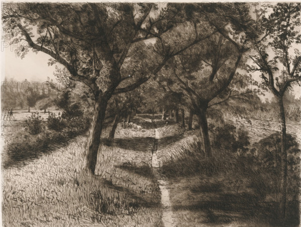 Path with adjacent trees, print, printmaker: Egbert Rubertus Derk Schaap (signed by artist), c. 1872 - c. 1895, paper, chine collé, etching, intaglio printmaking technique, height 238 mm x width 197 mm, landscapes in the temperate zone, road, path, trees, A monochrome etching showing a path or narrow stream running toward the foreground, flanked by tall trees with textured trunks and dense, leafy canopies that arch overhead; grassy banks with varied hatch marks border the water, and additional shrubs and trees fill the midground and background, creating layered foliage and shadowed areas; branches extend across the scene with fine linear detailing, and lighter sky peeks through gaps in the leaves.