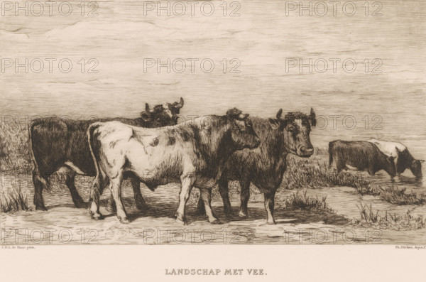 Landscape with cattle (original title on object), print, printmaker: Philip Zilcken, after painting by Johannes Hubertus Leonardus de Haas, printer (person): Joseph Bouwens, Brussels, 1867 - 1890, printer (person), paper, chine collé, etching, drypoint, intaglio printmaking technique, etching and drypoint, with plate tone, on chine collé, height 183 mm x width 237 mm, bovine cattle, A sepia-toned illustration shows a group of cows standing on a grassy, marshy shoreline with shallow water nearby; three cows stand in the foreground facing different directions, their bodies showing variations in light and dark shading and textured fur, while two more cows appear partially in the background near the water, heads lowered as if grazing or drinking, and the scene is set beneath a wide, horizontally lined sky with subtle cloud-like striations.