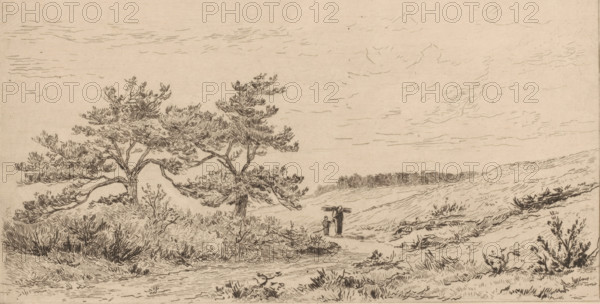 Les bruyères à Wort-Rheden (original title), Heath landscape near Worth-Rheden, print, In the middle, two figures walk along a path on the heath., printmaker: Carel Nicolaas Storm van 's-Gravesande, c. 1880, Carel Nicolaas Storm van 's-Gravesande, paper, etching, intaglio printmaking technique, height 149 mm x width 255 mm, meadow, pasture (landscape with figures, staffage), Worth-Rheden, A wide, lightly shaded landscape drawing with a sandy or beige background, featuring low rolling dunes and sparse vegetation. In the left foreground there are two tall, spreading pine trees with textured foliage and gnarled trunks, surrounded by clumps of grasses and low shrubs. The central ground shows a narrow, winding path leading toward the middle distance where two small human figures stand, one taller figure carrying something over a shoulder and a shorter figure beside them. The right side of the scene continues with grassy dunes and scattered bushes, and a distant line of darker, low trees sit...