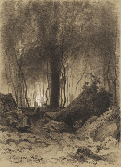 Forest scene with boulders, Landscapes with villages and forest, Le village et les bois, print, Series number, 29, stamp: 'Ch. Fouraut & Fils, éditeurs, Rue St. André des Arts, no. 47, Paris.', printmaker: Armand Théophile Cassagne, Paris, publisher: Fouraut & fils, Ch., 1872, paper, tone lithography, height 442 mm x width 315 mm, forest, wood, rocks, A dense forest scene rendered in dark charcoal tones with tall, slender tree trunks rising from a shadowed foreground; the canopy forms a textured mass of foliage that fills the upper portion of the image while lighter areas behind the trunks create a sense of depth; rocks and uneven ground occupy the foreground, with a prominent rounded boulder and scattered smaller stones; thin, winding saplings and thin branches are visible among the larger trunks, and patches of low vegetation and ferns grow on the sloping rocky surfaces; the overall mood is dim and heavily shaded, with contrast between the dark trees and the paler light filtering thr...