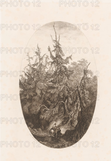 Forest landscape with travelers, Vosges, print, printmaker: Charles André Malardot, France, publisher: Gaspard Albert Hauser, Paris, 1827 - 1879, paper, chine collé, etching, engraving, roulette, intaglio printmaking technique, roulette and plate tone on chine collé, height 314 mm x width 210 mm, forest, wood, 'en route', traveller under way, An oval-shaped detailed engraving of a dense forest scene fills the center of a pale background, with tall, gnarled trees whose twisted trunks and drooping, textured branches dominate the composition, creating layered foliage and shadowed undergrowth; at the lower foreground a small group of figures on horseback move along a narrow, rocky path beneath the overhanging roots and boughs, and the ground is strewn with stones and low vegetation, while the sky above the treetops is lightly hatched.