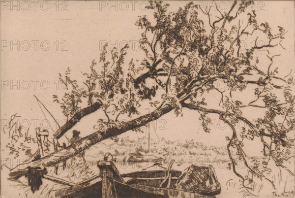 Slanted tree and Eudia (original title), Landscape with fallen tree, boats and angler, print, printmaker: Willem Bastiaan Tholen (signed by artist), 1905, paper, etching, intaglio printmaking technique, height 162 mm x width 240 mm, sailing-ship, sailing-boat, fisherman, A horizontal sketch in sepia tones shows a riverside scene with a large tree leaning over the water, its thick trunk and many branches covered with clusters of leaves drawn in fine, curved strokes; a slender branch extends diagonally across the composition with textured bark. In the lower foreground, the bows of two small wooden boats are visible, one containing a woven basket and the other positioned beside a simple wooden post and plank structure. Grassy banks with tufts and reeds sit behind the boats, and a small, distant shoreline with a faint vertical pole rises from the water. The sky area above the tree is mostly empty, rendered in the same warm paper tone.