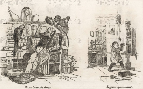 Monkey lifts the wig of a seated man and a child secretly drinks from a bottle, A monkey farce, The little gourmand, The little printing shop, Small collection of prints, print, album page, Page with two separate illustrations. This print is part of an album., printmaker: Eugène Hippolyte Forest, printmaker: Frédéric Bouchot, publisher: Aubert & Cie., Paris, 1834, paper, wood engraving, height 141 mm x width 232 mm, monkeys, apes, wig, Gluttony, Intemperance, 'Gula', 'Gola', 'Ingordigia', 'Ingordigia overo Avidità', 'Voracità' (Ripa), personification of one of the Seven Deadly Sins, glutton, A monochrome sketch shows an interior scene with a seated man leaning back in a chair holding a sheet while a monkey squats on the chair back holding a rounded object toward his face and a perched bird stands on a nearby tall stand; shelves behind them hold rounded vessels and small figurines above stacked books and drawers, and a basket sits beside the chair. To the right, a child walks while drin...