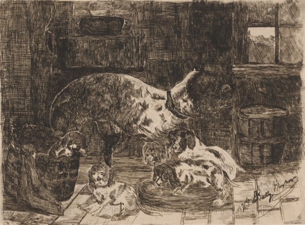 Dog with a litter of cubs, print, printmaker: Vicomte Arthur-Jean Le Bailly d'Inghuem, 1850 - 1899, Vicomte Arthur-Jean Le Bailly d'Inghuem, paper, etching, intaglio printmaking technique, etching with plate tone, height 240 mm x width 318 mm, dog, interior of the house, A sepia-toned ink drawing of a domestic interior showing several dogs of varying sizes and markings arranged on a tiled floor and on simple furnishings; a large dog stands centrally with a collar, while smaller puppies lie, sit, and climb on a round cushion and into a soft basket nearby, their fur rendered with short hatch marks and spots. In the background there are wooden shelves and panelling, a basin resting on a high shelf, a window with crossbars showing a distant landscape, and a cylindrical wooden tub positioned near the wall. The room is depicted with dense crosshatching for shadows and texture, visible floorboards beneath the animals, and loosely sketched curtains and household objects around the perimeter.