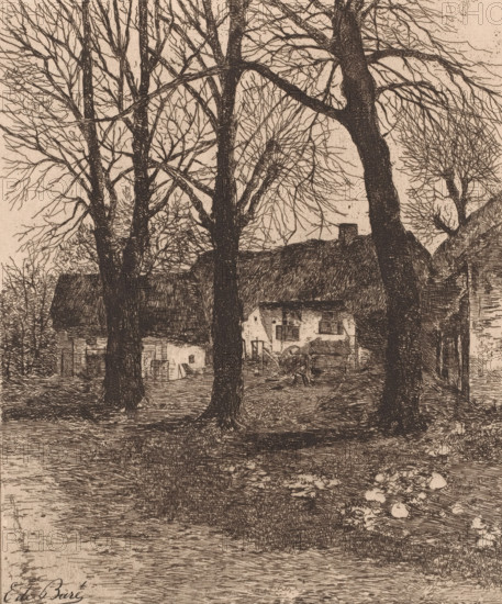 Farmhouse with three trees, print, printmaker: Emile de Baré, 1865 - 1902, paper, etching, intaglio printmaking technique, etching with plate tone, height 264 mm x width 223 mm, farm or solitary house in landscape, trees, A detailed monochrome drawing shows bare deciduous trees with dark textured trunks and a tangle of thin branches against a lighter background, standing in front of rustic thatched-roof buildings with visible windows and small architectural details, a yard area with scattered wooden elements and a cart, uneven ground with grassy and rocky patches, and a body of water or wet ground in the foreground reflecting fine linear etching marks.