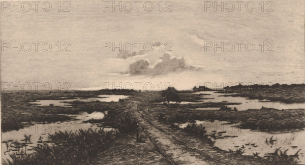 Swampland at dusk, print, printmaker: Emile de Baré (signed by artist), 1865 - 1902, paper, etching, intaglio printmaking technique, drypoint, plate tone and drypoint, height 209 mm x width 348 mm, landscapes, road, path, swamps and polders, A wide, flat landscape rendered in muted tones with a central dirt track leading toward the horizon, flanked by marshy ground and shallow pools of water. Dark, textured grasses and clumps of vegetation line the foreground and edges of the marshes, creating irregular, sketchy shapes. Low, distant tree lines and small, rounded shrubs appear along the horizon, silhouetted against a pale sky. A single, soft-edged cloud formation floats above the horizon, its shaded underside contrasted against the lighter sky. The overall image has a linear, etched quality with fine, crosshatched marks defining ground textures and reflections.